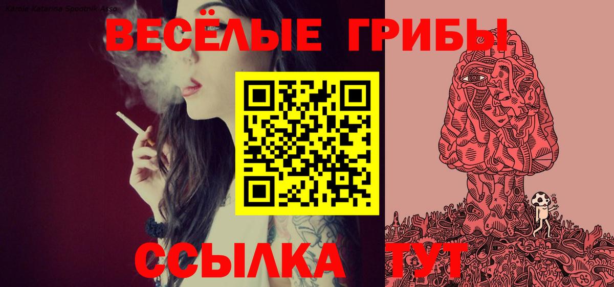 где можно купить наркотик  Галлюциногенные грибы Magic Shrooms  Вход с VPN  Кыштым 